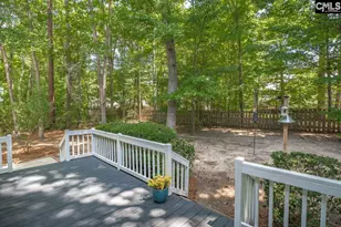 221 Baron Rd, Lexington, SC 29072 - Photo 39
