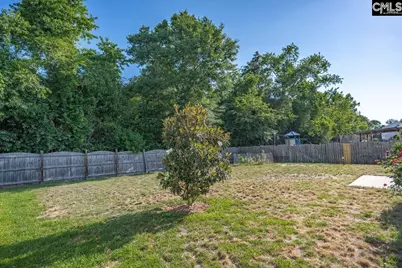 316 Finch Lane, Lexington, SC 29073 - Photo 37