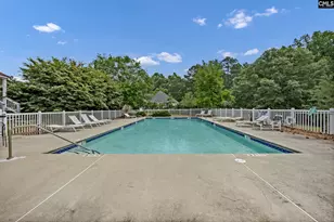 303 Vista Springs Cir, Lexington, SC 29072 - Photo 75