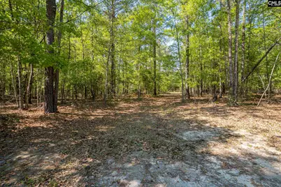 122 E Lonesome Pine Trail, Camden, SC 29020 - Photo 53