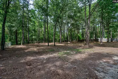 50 Nature Lane, Elgin, SC 29045 - Photo 45