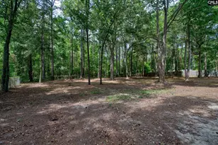 50 Nature Ln, Elgin, SC 29045 - Photo 45