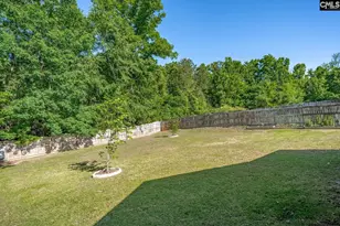 559 Foxstone Dr, Chapin, SC 29036 - Photo 37