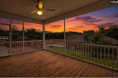 424 Lombard Way, Chapin, SC 29036 - Photo 3