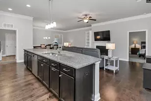 688 Scarlett Baby Dr, Blythewood, SC 29016 - Photo 13