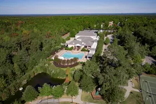688 Scarlett Baby Dr, Blythewood, SC 29016 - Photo 47