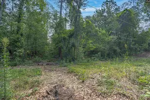 5318 Pinestraw Rd, Columbia, SC 29206 - Photo 47