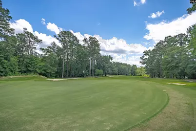 7 Tavern Court, Blythewood, SC 29016 - Photo 67