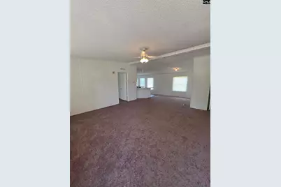 328 State Pond Road, Gaston, SC 29053 - Photo 3