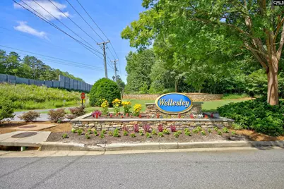 121 Huxley Court, Lexington, SC 29072 - Photo 3