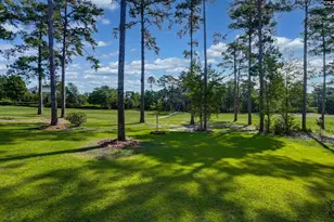 331 E Arrowleaf Ln, Elgin, SC 29045 - Photo 71