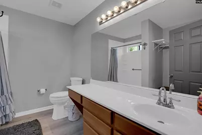 119 Silverberry Drive, Lexington, SC 29073 - Photo 19