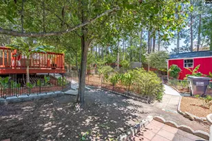 119 Silverberry Dr, Lexington, SC 29073 - Photo 35