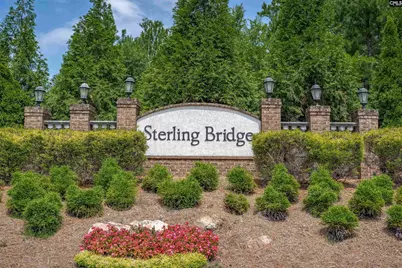 443 Sterling Brook Drive, Lexington, SC 29072 - Photo 53