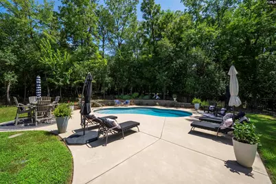 1617 Deep Cove Lane, Gilbert, SC 29054 - Photo 49