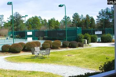 310 Beaumont Park Circle, Blythewood, SC 29016 - Photo 57