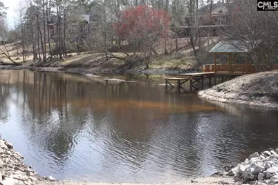 310 Beaumont Park Circle, Blythewood, SC 29016 - Photo 63