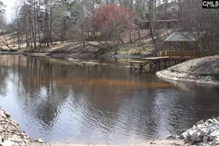 310 Beaumont Park Cir, Blythewood, SC 29016 - Photo 63