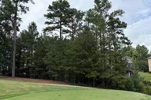 122 Peppermint Ln, Blythewood, SC 29016 - Photo 5
