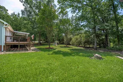 209 Alice Drive, Chapin, SC 29036 - Photo 37