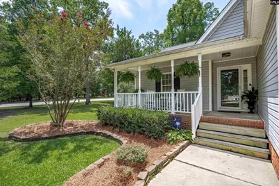 209 Alice Drive, Chapin, SC 29036 - Photo 3