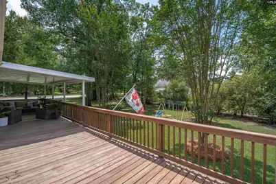 209 Alice Drive, Chapin, SC 29036 - Photo 33