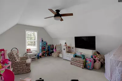 209 Alice Drive, Chapin, SC 29036 - Photo 27
