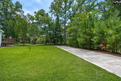 209 Alice Drive, Chapin, SC 29036 - Photo 35