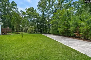 209 Alice Dr, Chapin, SC 29036 - Photo 35
