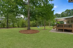 209 Alice Dr, Chapin, SC 29036 - Photo 39