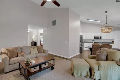 209 Alice Drive, Chapin, SC 29036 - Photo 9