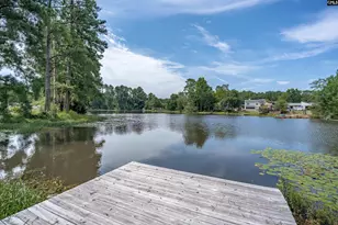 213 Maple Tree Ct, Lexington, SC 29073 - Photo 3