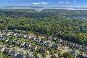 463 Bronze Dr, Lexington, SC 29072 - Photo 49