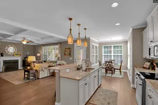 313 Cape Romain Ct, Lexington, SC 29072 - Photo 9