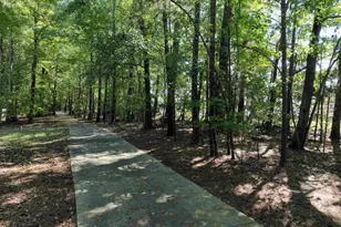 14 Saddleback Ledge Ct, Irmo, SC 29063 - Photo 41