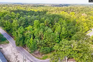 0 E/S Sumpter Rd, Hopkins, SC 29061 - Photo 7