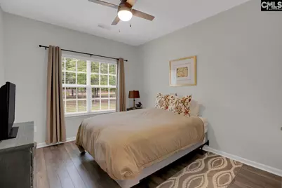 1209 Richard Franklin Road, Chapin, SC 29036 - Photo 17