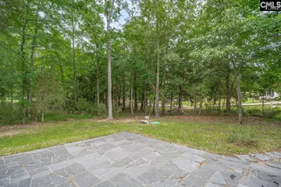 1209 Richard Franklin Road, Chapin, SC 29036 - Photo 23
