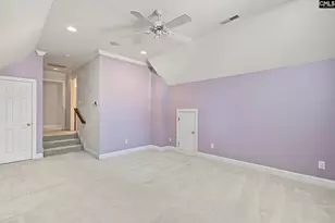 210 Lake Vista Dr, Chapin, SC 29036 - Photo 61