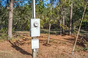230 Mountain View Rd, Batesburg, SC 29006 - Photo 23