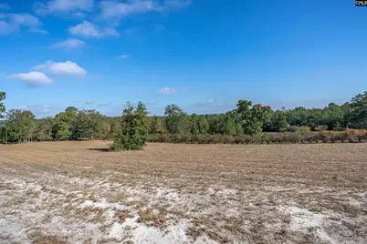 230 Mountain View Road, Batesburg, SC 29006 - Photo 31