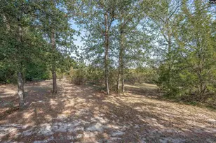 230 Mountain View Rd, Batesburg, SC 29006 - Photo 3