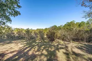 230 Mountain View Rd, Batesburg, SC 29006 - Photo 5