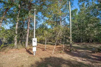 230 Mountain View Road, Batesburg, SC 29006 - Photo 21