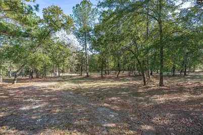 230 Mountain View Road, Batesburg, SC 29006 - Photo 25