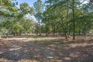230 Mountain View Rd, Batesburg, SC 29006 - Photo 25