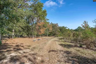 230 Mountain View Road, Batesburg, SC 29006 - Photo 17