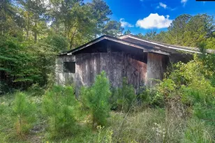 1392 Boiling Springs Rd, Lexington, SC 29073 - Photo 11