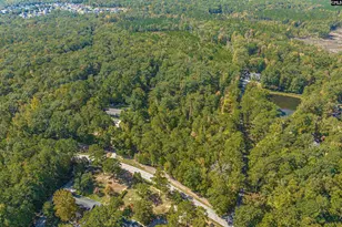 1335 Fulmer Rd, Blythewood, SC 29016 - Photo 1