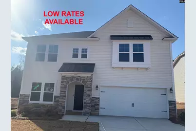 1001 Flat Coat Lane, Chapin, SC 29036 - Photo 1